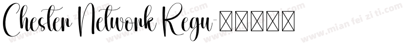 Chester Network Regu字体转换